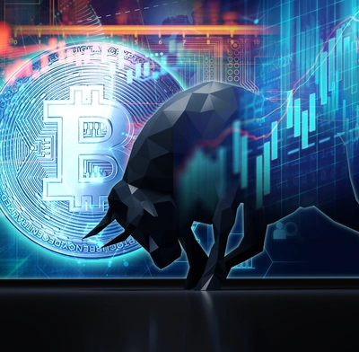 Bitcoin bull