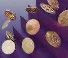 Solana_coins_4