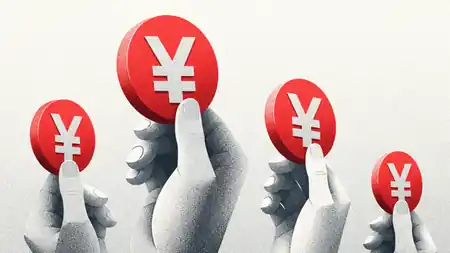 Japan Foreign Domestic Stablecoin