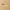 This Week Banner