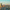 Tokyo skyline