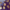 Solana_coins_4