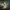 Ethereum : Network Snapshot before Fusaka upgrade