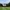 White House