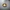 ETH coin