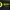 Bitmine