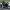 Man pointing hand gun at occupants of vehicle