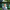 Animoca Brands Group President Evan Auyang