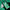 Robinhood